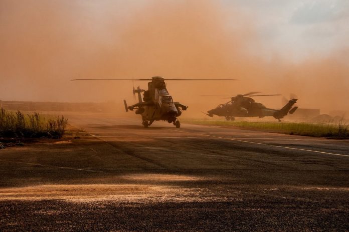 Tigre au Sahel.