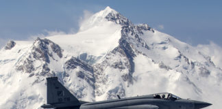 JF-17 Thunder Pakistan Argentine