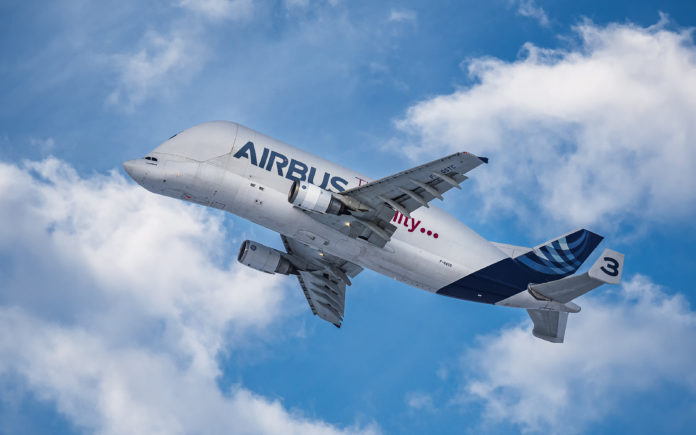 pm_38_563_563899-p4ll255qtb Beluga