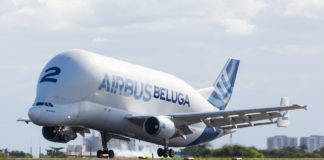 Beluga