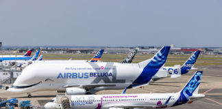 Beluga XL 6