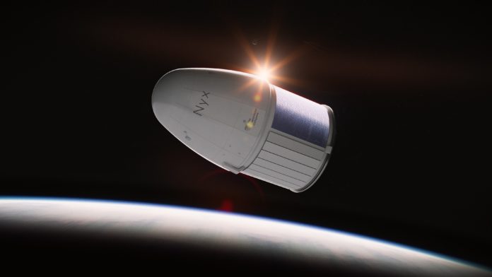 Capsules Nyx